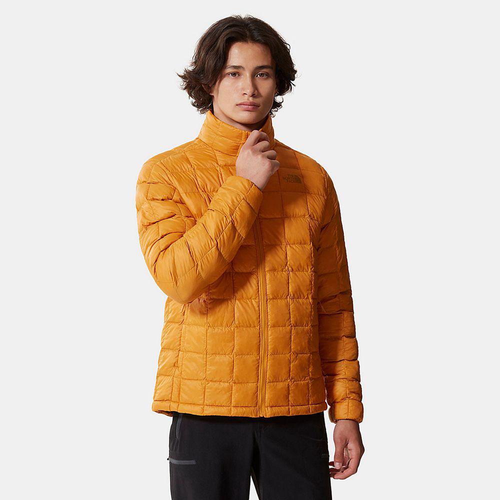 The North Face Thermoball™ Eco 2.0 Ανδρικα Σακάκι - Κίτρινα (VNIP96385)